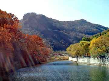 新澳天天开奖资料大全旅游团，洋浦天涯论坛